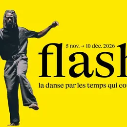 Festival Flash