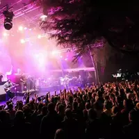 Festival Grande Marée à Jullouville : artistes en concert DR