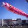 Le Festival du cerf-volant de Dieppe propose des créations uniques au monde &copy; Pmau