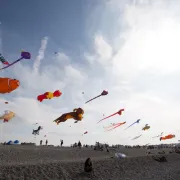 Festival International de cerf-volant de Dieppe