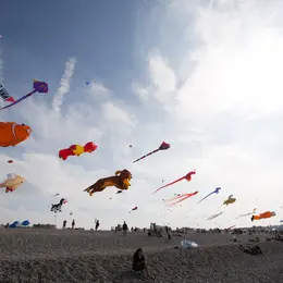 Festival du cerf-volant à Dieppe en 2027