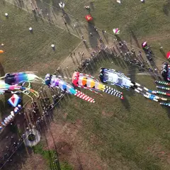 Festival International de l'Air de Fréjus 2026