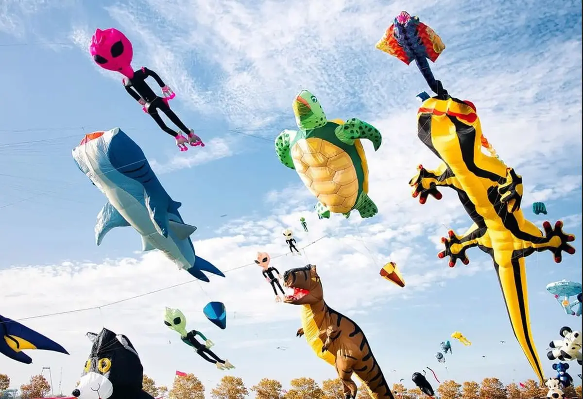 Festival International de l'Air de Fréjus 