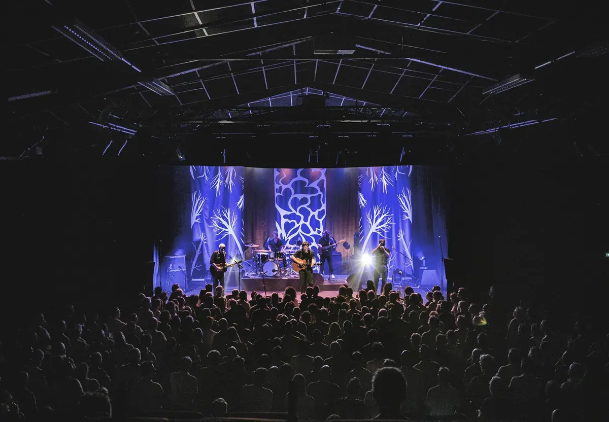 Festival Invitations En Domitienne: Soirée Rock, Folk