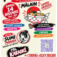 Festival Japonais Petit Tokyo