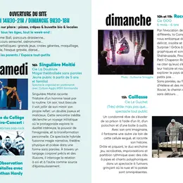 Festival la tête dans les étoiles