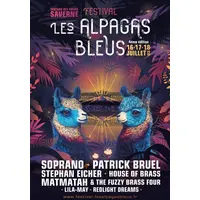 Festival Les Alpagas Bleus &copy; JonasWoehrel