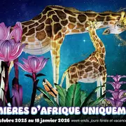 Festival Lumières D'Afrique