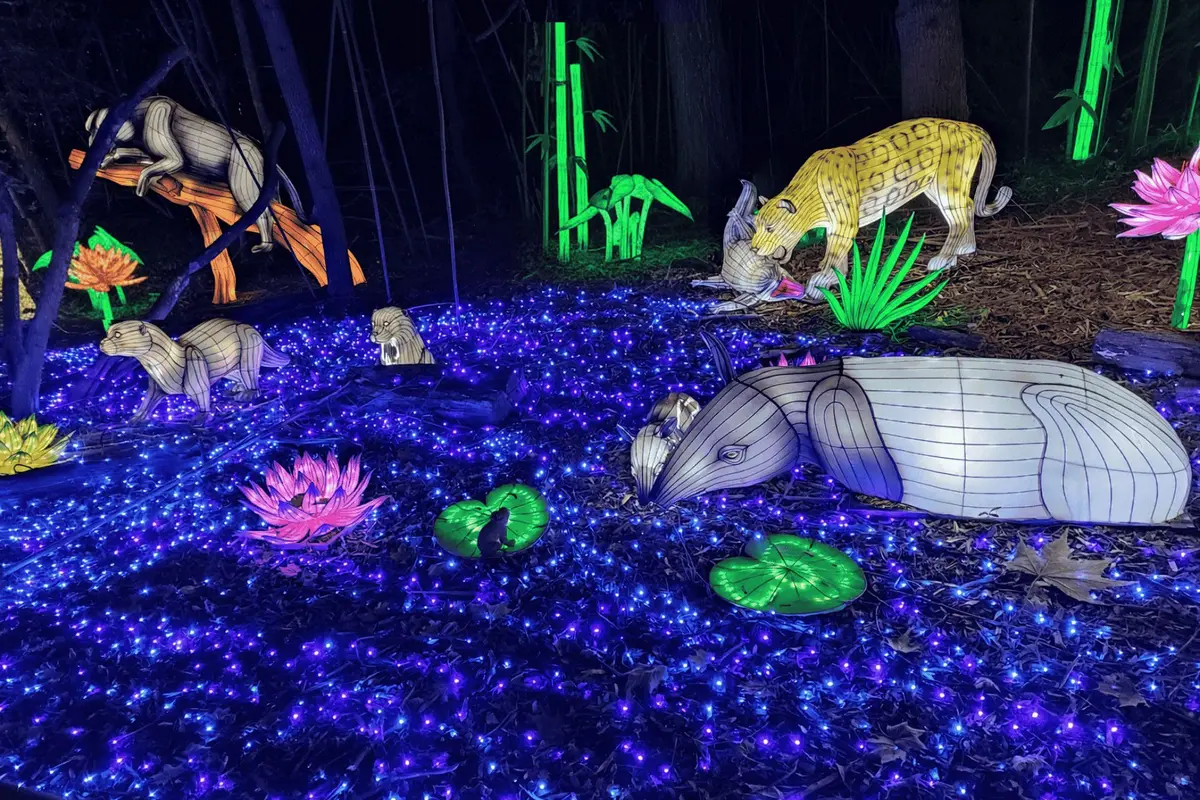 Un parcours enchanté au milieu d'animaux lumineux