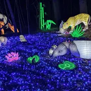 Peaugres Lumières Sauvages 2026