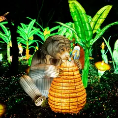 Festival Luminescences au Zoo d'Amnéville