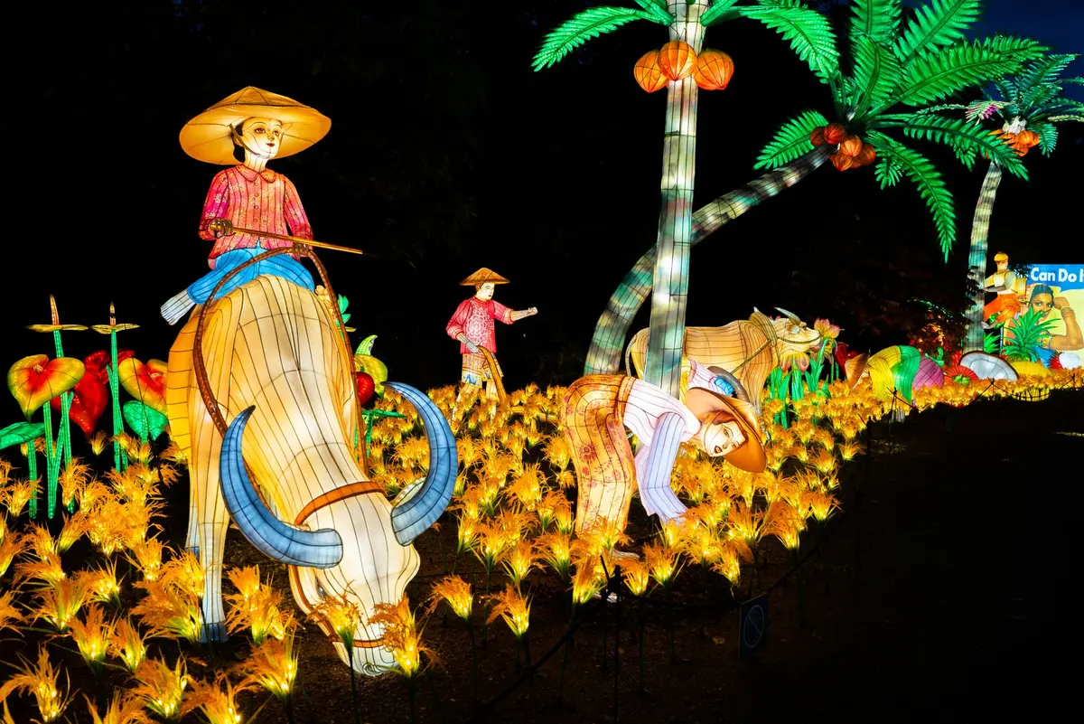 Retour sur la beauté de Luminescences 2024