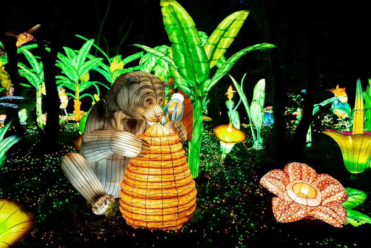 On a pu croiser cet ours gourmand lors d'une pr&eacute;c&eacute;dente &eacute;dition (2024)