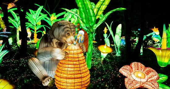 [Coup de ❤️ JDS] Festival Luminescences au Zoo d'Amn&eacute;ville