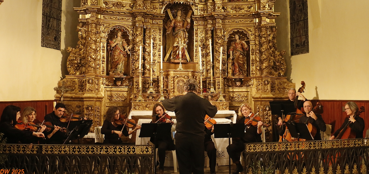 Festival Lyrique - Diner Concert Orchestre Du Chambre Du Roussillon