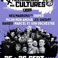 Festival Mélangeons nos Cultures 4e édition