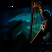 Où aller à Reims ce week-end du 27 au 29 mars 2026 ? 8 idées sorties