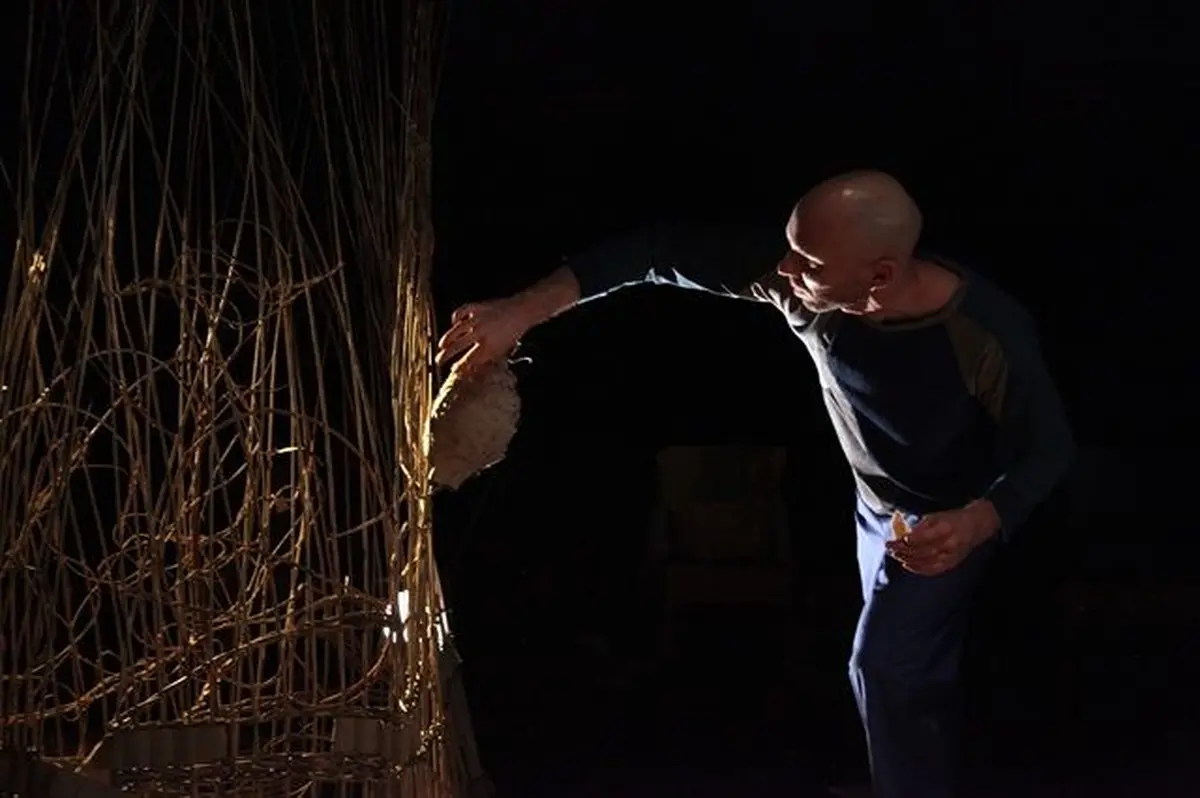 Compagnie Soleil Sous La Pluie 