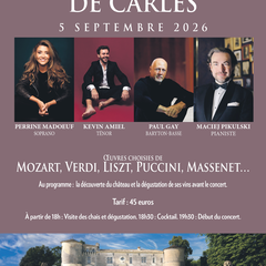 Festival musical de Carles