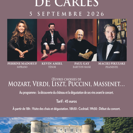 Festival musical de Carles