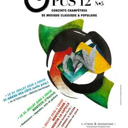 Festival Opus 12