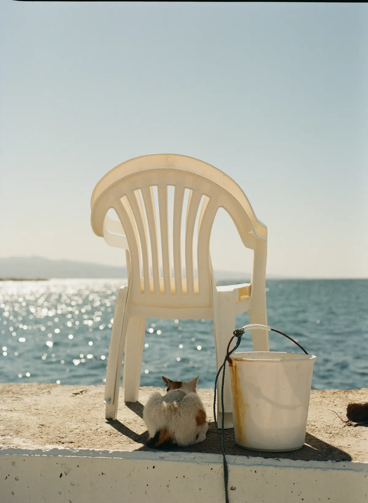 Festival Orizons - Exposition : La Chaise en plastique