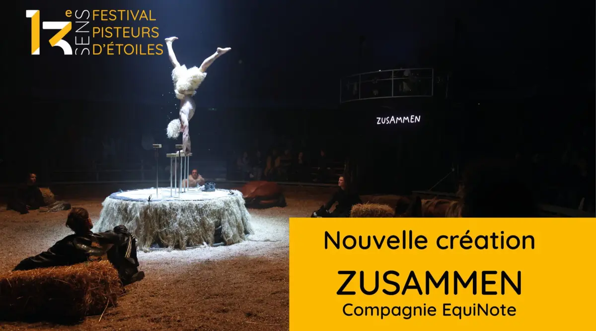 Festival Pisteurs d'Etoiles