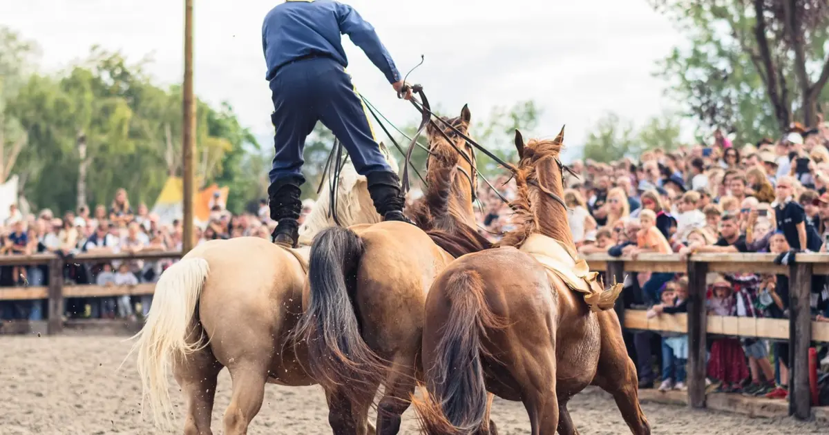 Festival Pow Wow à Steinbourg