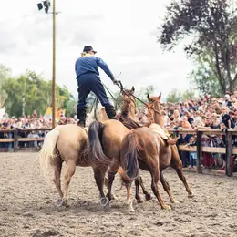 Festival Pow Wow à Steinbourg 2026 : festival de cultures amérindiennes