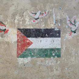 Festival Résurgence X - Conférence - Les activistes de la paix en Israël et Palestine