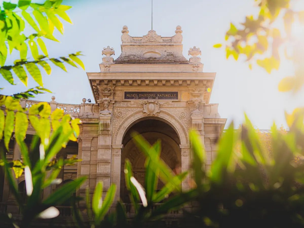 Festival RISC au Muséum d'histoire naturelle de Marseille