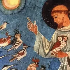 Festival Semaine d'Orgue : LE CONCERT DES OISEAUX Francesco d'Assisi