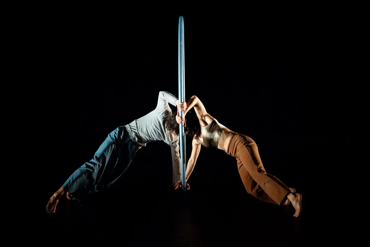 Festival SPRING : In difference