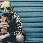 Festival SPRING : Vilain chien