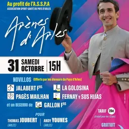Festival taurin
