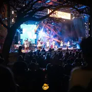 Festival Terre de Blues 2026 à Marie-Galante