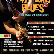 Festival Terri'Thouars Blues
