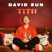 Festival Top In Humour - David Sun