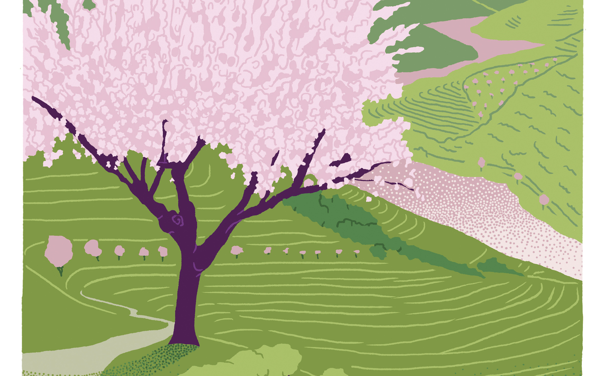 Festival Un Temps pour Elles : JARDINS DU MONDE