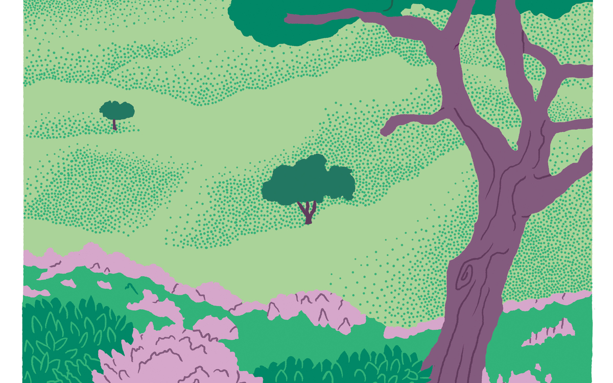 Festival Un Temps pour Elles : SOUS LES ARBRES
