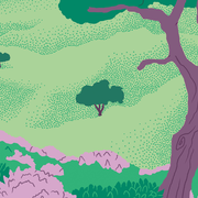 Festival Un Temps pour Elles : SOUS LES ARBRES