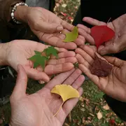 Festival Unité dans la Diversité - Limoges