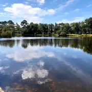 Festival Ychoux en scènes