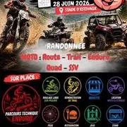 Festivaloise