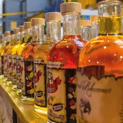 FestiVitas au Parc Expo de Mulhouse : le rendez-vous des épicuriens, du 6 au 8 février