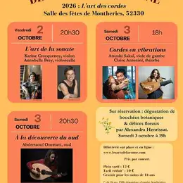 Festivités des arts de la Renne : 2026 l'art des cordes