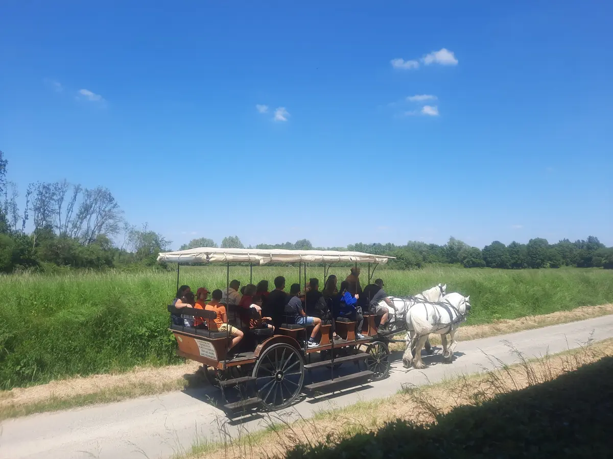 Fête au coeur des prairies du Fouzon à Couffy