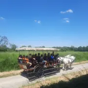 Fête au coeur des prairies du Fouzon à Couffy