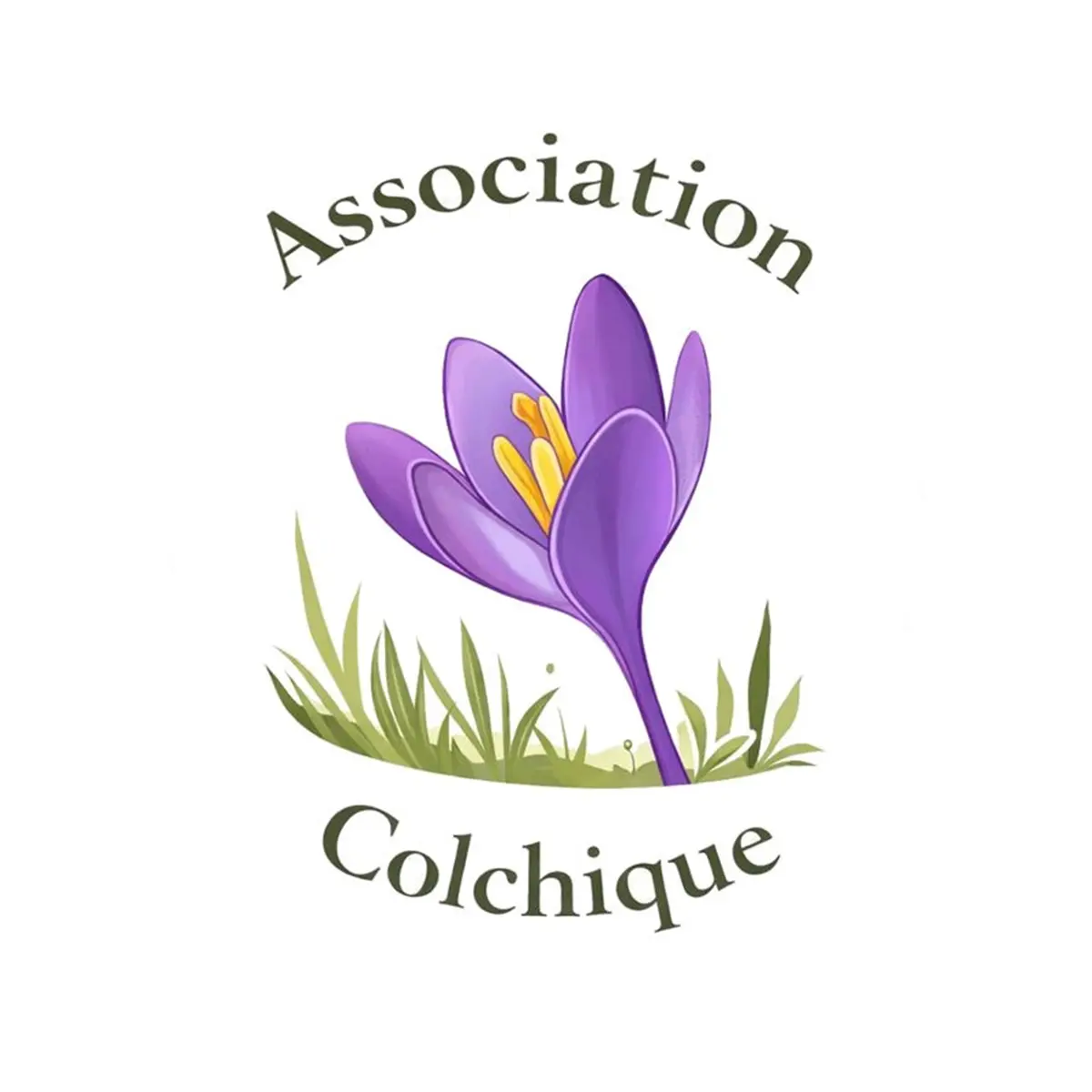 Fête bio écologique Colchique