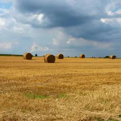Fête champêtre